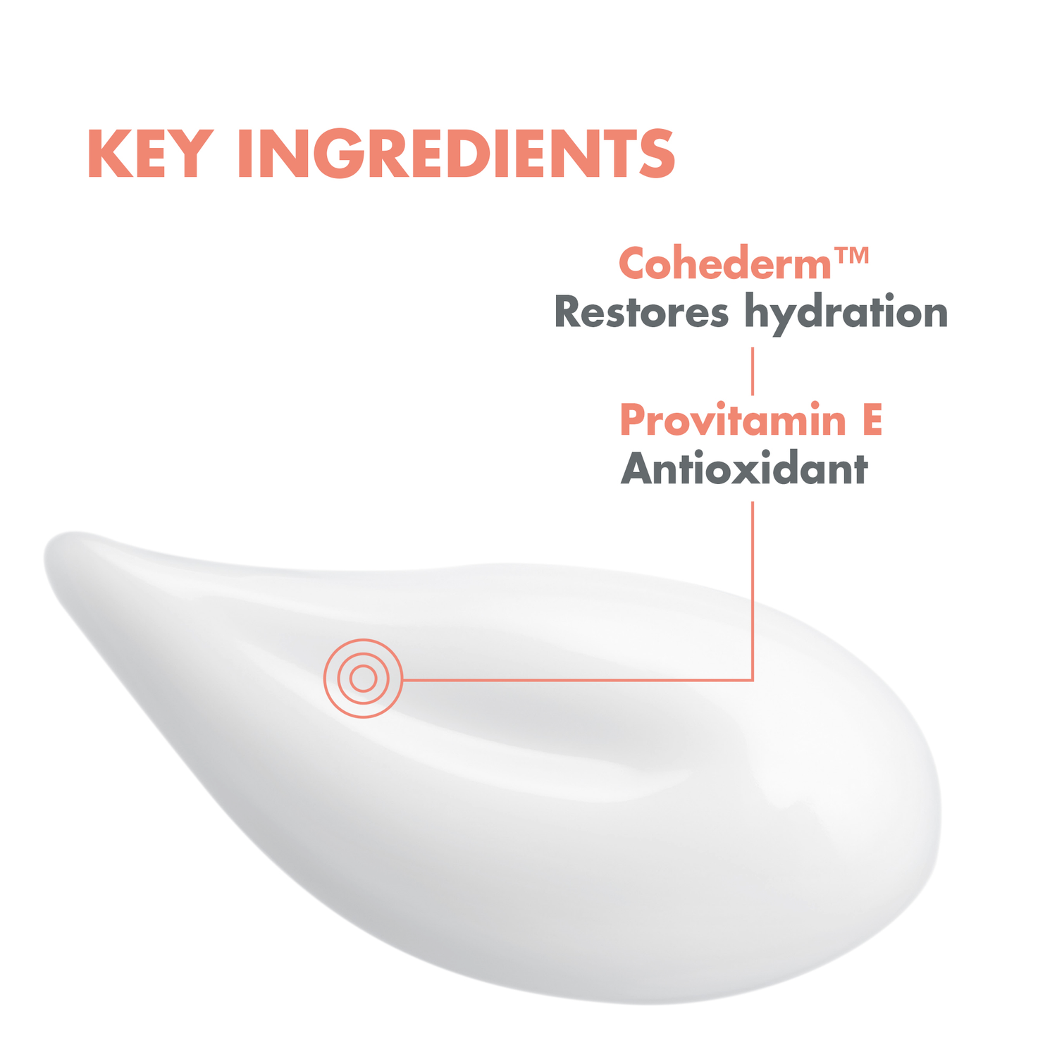 Hydrating Emulsion Hydrance Light & FREE  Cleansing Foam