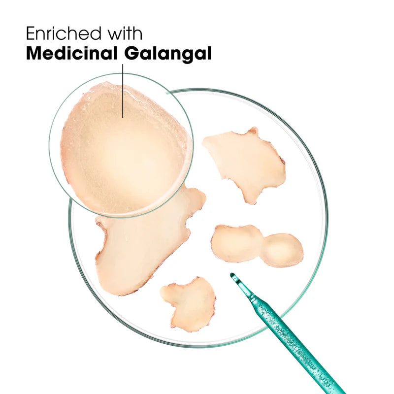 Klorane Galangal Anti-Dandruff Shampoo available at The Distriqt Lebanon