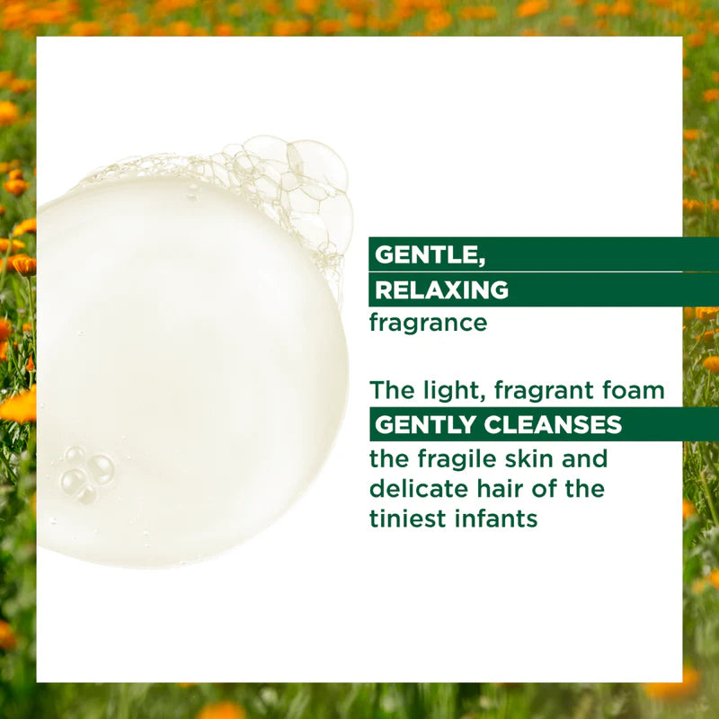 Klorane Baby calendula cleansing gel and organic change cream at The Distriqt Lebanon