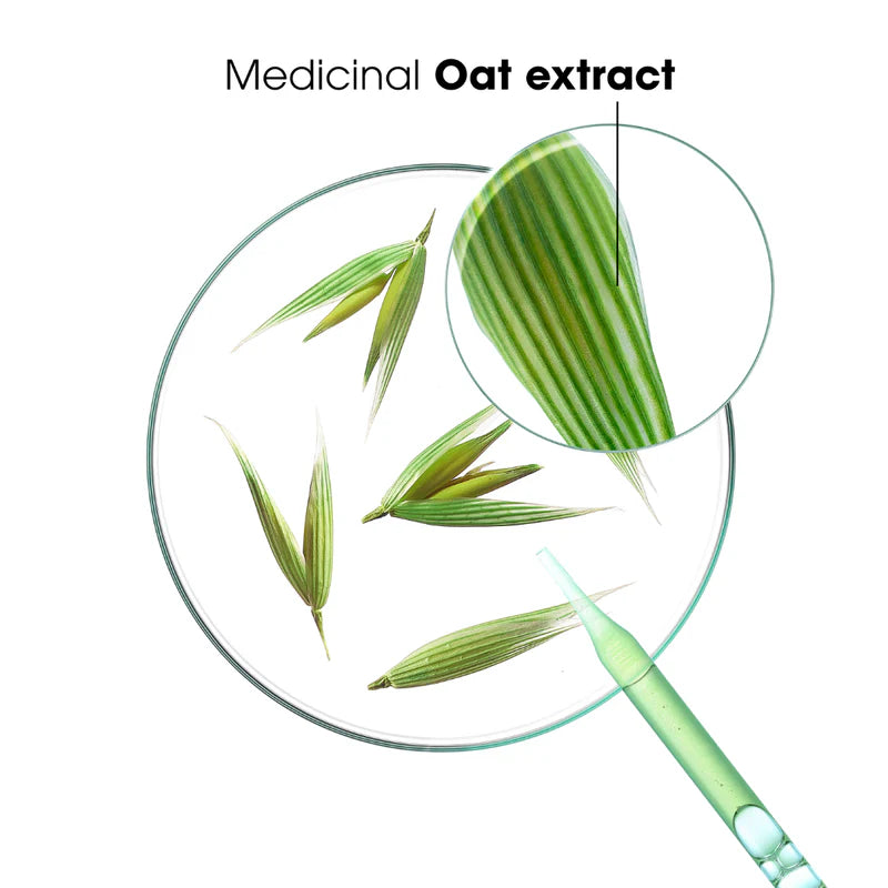 Klorane Oat Shampoo triple pack available at The Distriqt Lebanon
