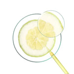 Klorane Vitamin Shampoo with Citron available at The Distriqt Lebanon