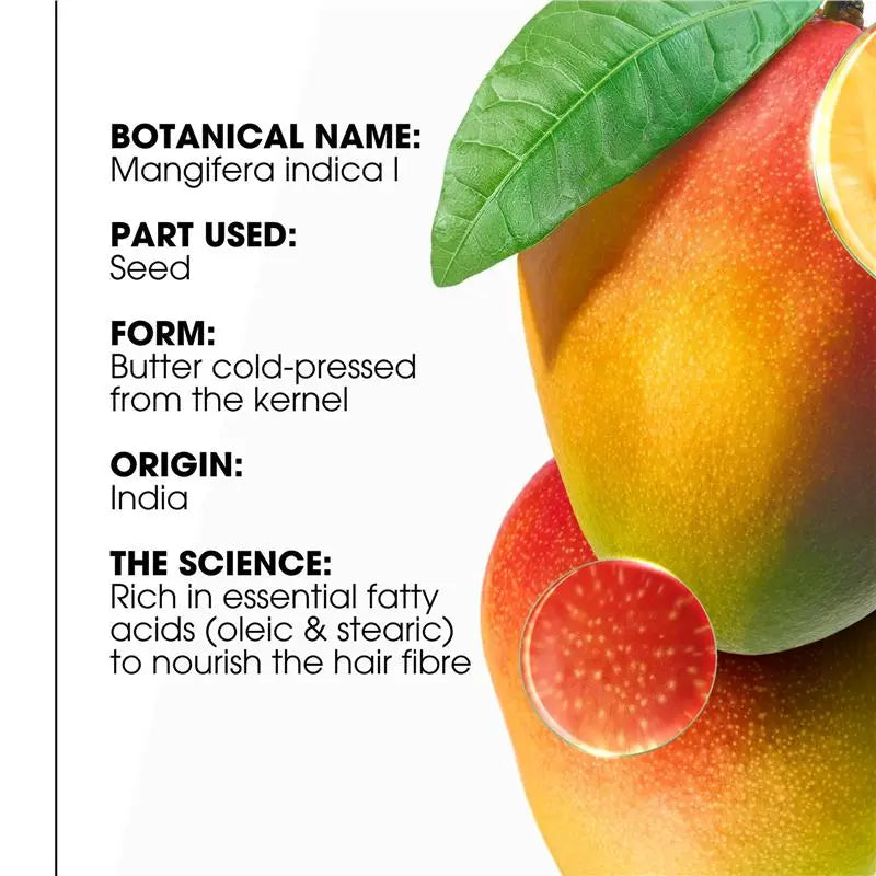 Silicone-free Klorane shampoo with Mango Butter for everyday nourishment available at distriqt lebanon