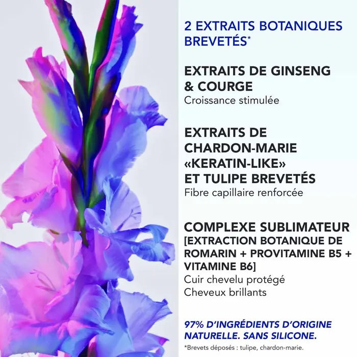 Phyto Paris Phytophanere Ultra Length-Boosting Serum 50ml silicone-free leave-in scalp treatment