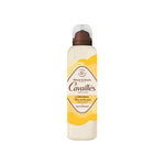 Rogé Cavaillès soap-free lavender shower foam for sensitive skin